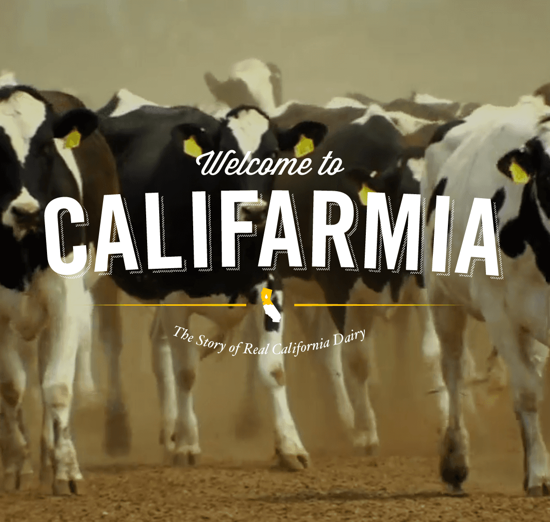 RealCaliforniaMilk.com Redesign