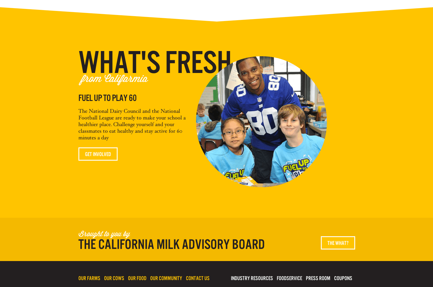 RealCaliforniaMilk.com Redesign — plate 3
