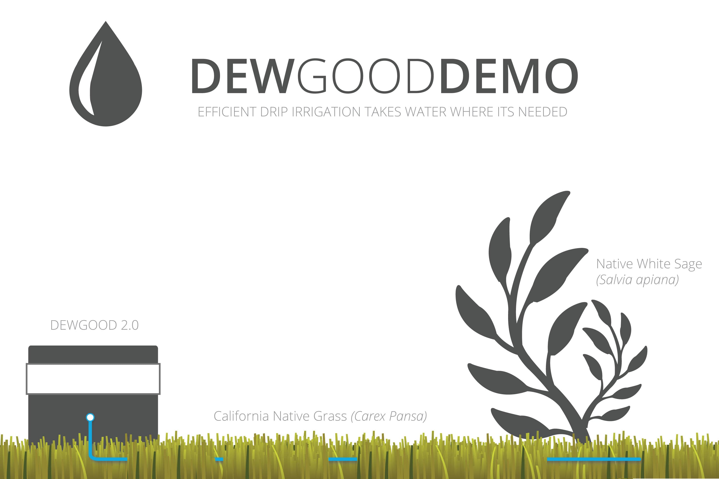 DewGood — plate 3
